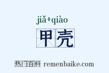 甲壳是什么意思的图片